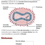 nova-variante-da-mpox-e-detectada-fora-do-pais;-sp-registra-44-casos-em-2026