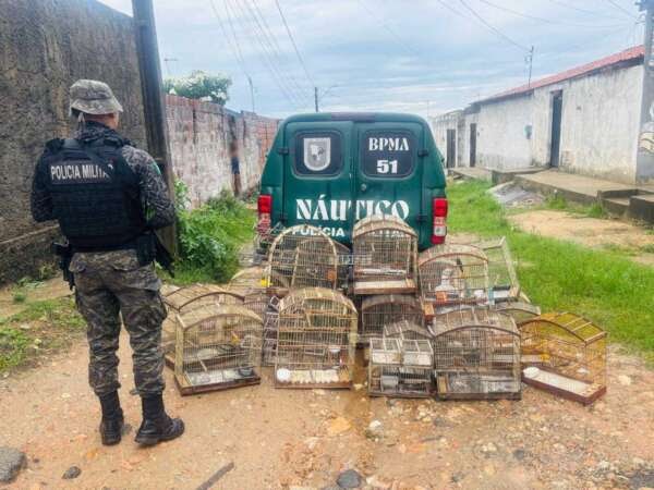 homem-e-detido-e-29-aves-silvestres-sao-resgatadas-pela-pmce-em-caucaia