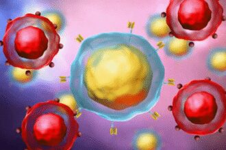 terapia-car-t-avanca-no-brasil-com-pesquisas-para-reduzir-custos-e-chegar-ao-sus