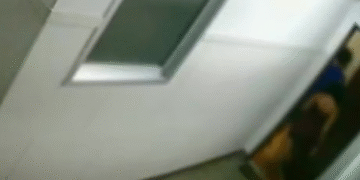 investigados-por-estupro-coletivo-comemoraram-crime:-‘mae-de-alguem-teve-que-chorar’