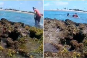 video:-pescador-resgata-banhista-arrastada-por-correnteza-em-praia-de-paracuru