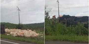 motorista-morre-apos-caminhao-com-carga-de-frangos-tombar-na-ce-060