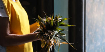 Hoje é Domingo de Ramos? Data marca o início da Semana Santa